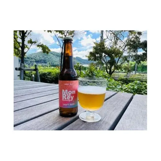 クラフトビール6本 3種飲み比べセット