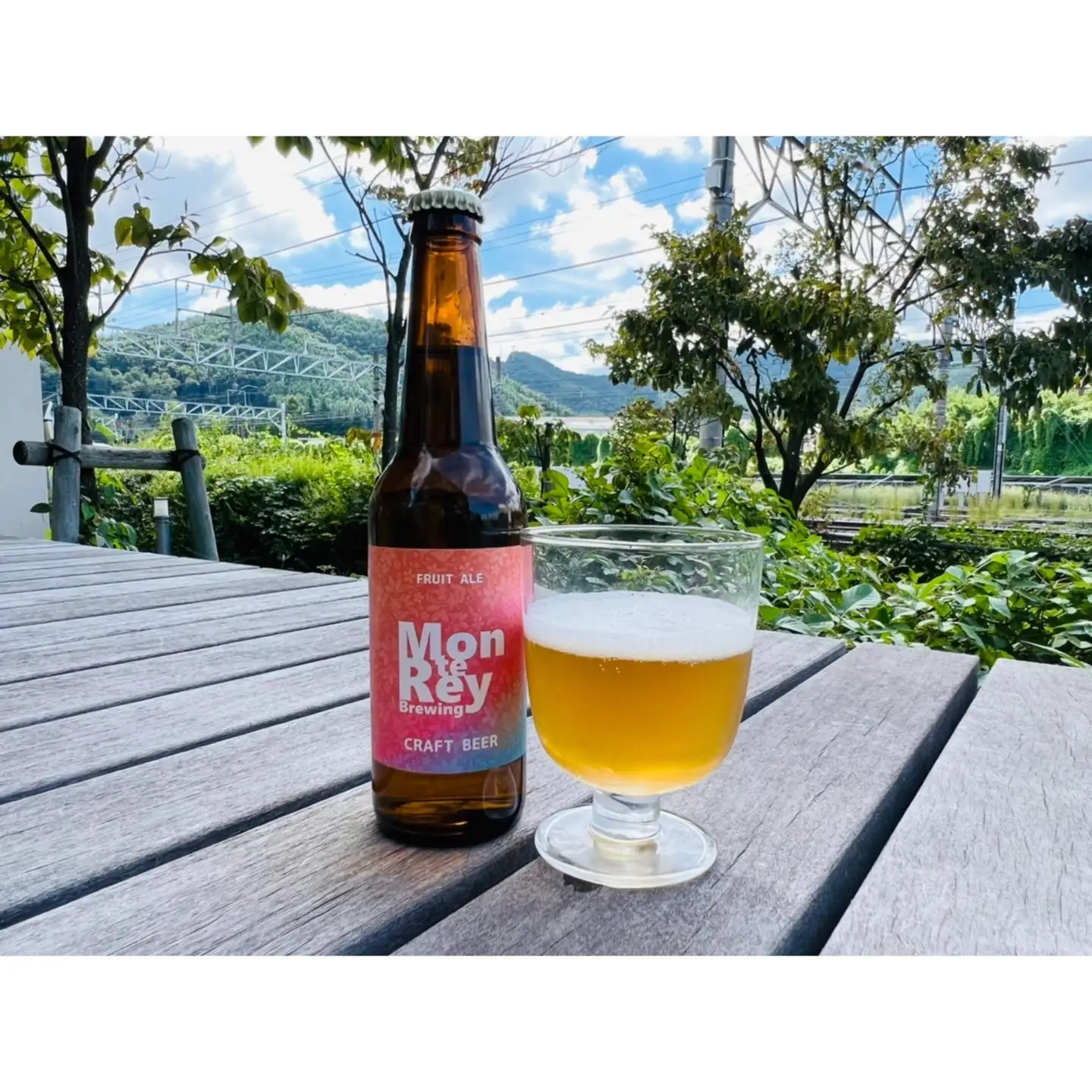 クラフトビール6本 信州りんごのフルーツエール