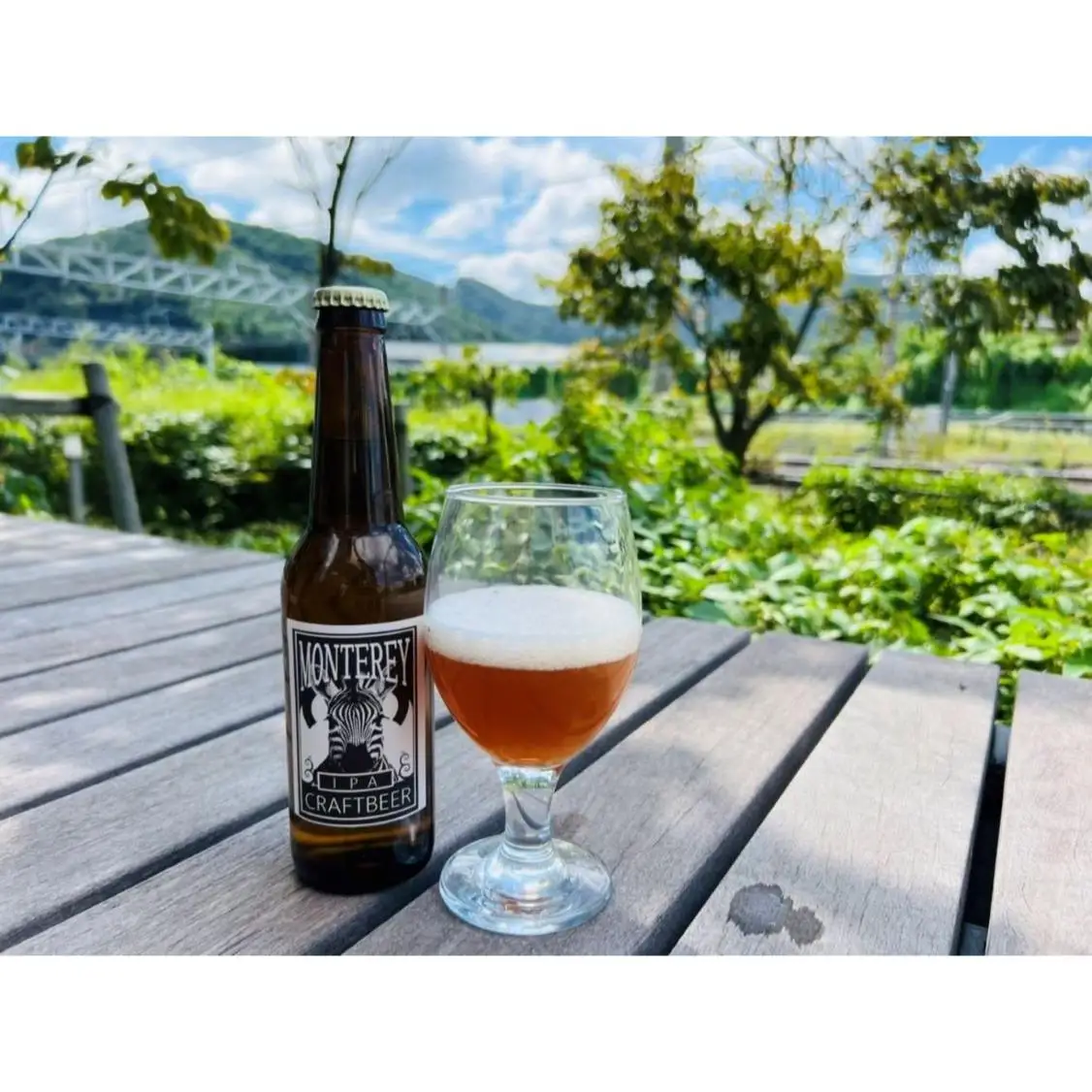 クラフトビール6本　HAZY IPA