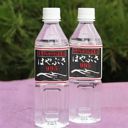 【毎月定期便】りょう泉はやぶさ　995〈500ml×24本〉全3回【4058671】