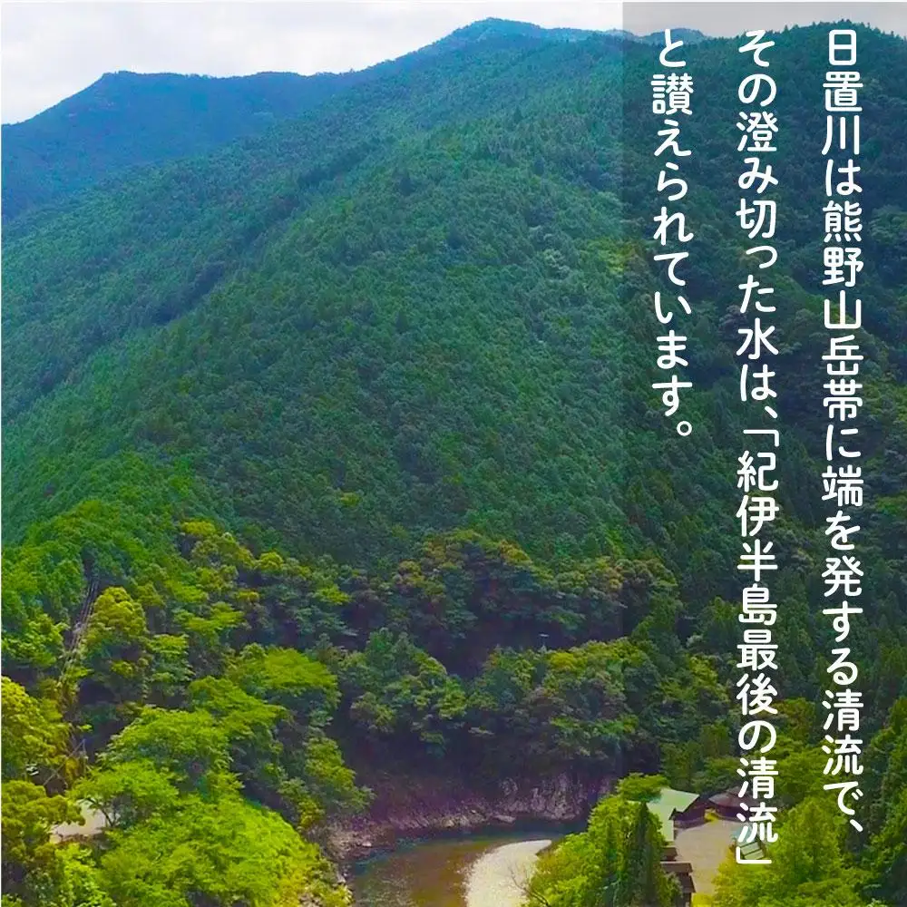 2026年度 日置川アマゴ遊漁券（一年券）