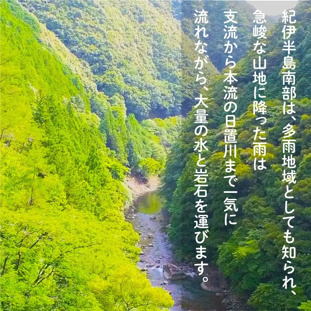2026年度 日置川アユ遊漁券（一年券）