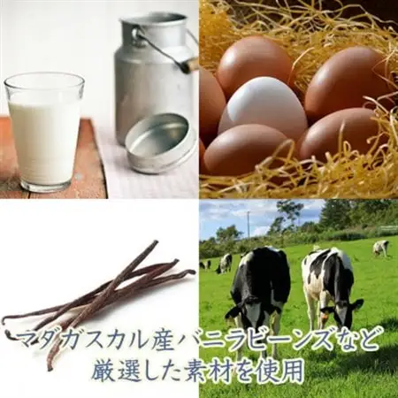 【名誉総裁賞受賞】とろける玉華堂の極ぷりん5個入_プリン 人気 ギフト_【配送不可地域：離島・北海道・沖縄県・東北・中国・四国・九州】【1560979】