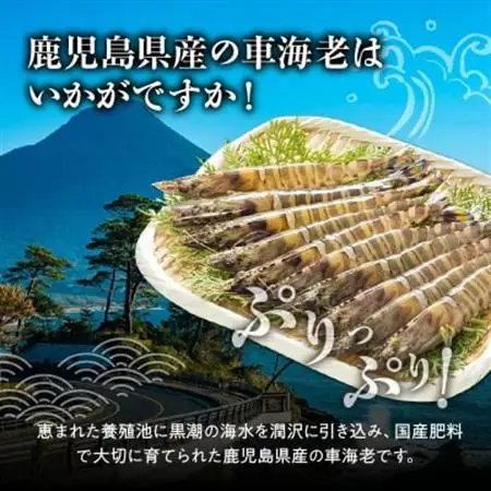 活き〆冷凍車海老LLサイズ【配送不可地域：離島】【1186180】