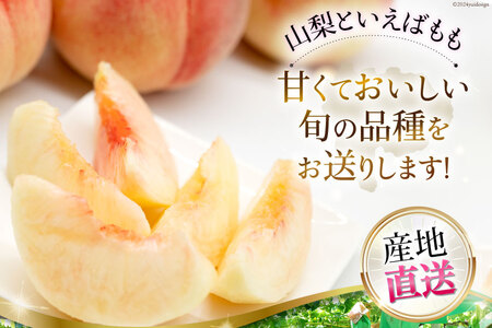 山梨県産 桃 約2kg [えべし 山梨県 中央市 21470864] もも モモ くだもの 産地直送 フルーツ 果物 2キロ 冷蔵 山梨 白桃 【2026年6月下旬-8月下旬発送予定】