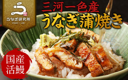 三河一色産うなぎ蒲焼　きざみうなぎ 4個(計280g以上)・R010