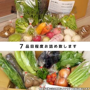 旬の野菜詰め合わせ 7～8種 | 野菜セット 詰め合わせ セット オーガニックファーム所沢農人