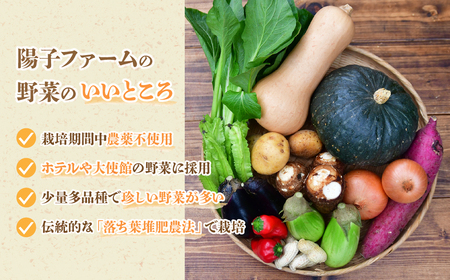 ＜6ヵ月定期便＞旬の野菜詰め合わせ 7～8種 | 野菜セット 詰め合わせ 定期便