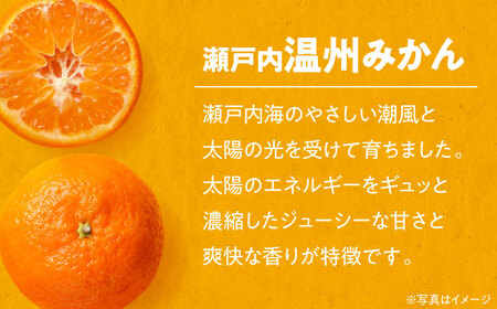 温州みかん 2kg みかん【11月中旬から順次配送】[AGBN046]