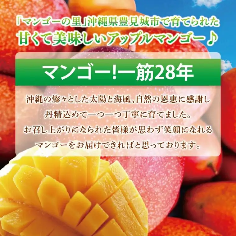 アップルマンゴー 約2kg(3～6玉)(家庭用) 
