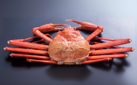 釜茹で 香住ガニ 2～3杯 1.6～1.8kg 配送日時指定可 カニ  49-03