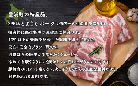 【3ヵ月 定期便 】 とようらポーク1.2kg ひき肉 小分け 北海道豊浦産 SPF豚 