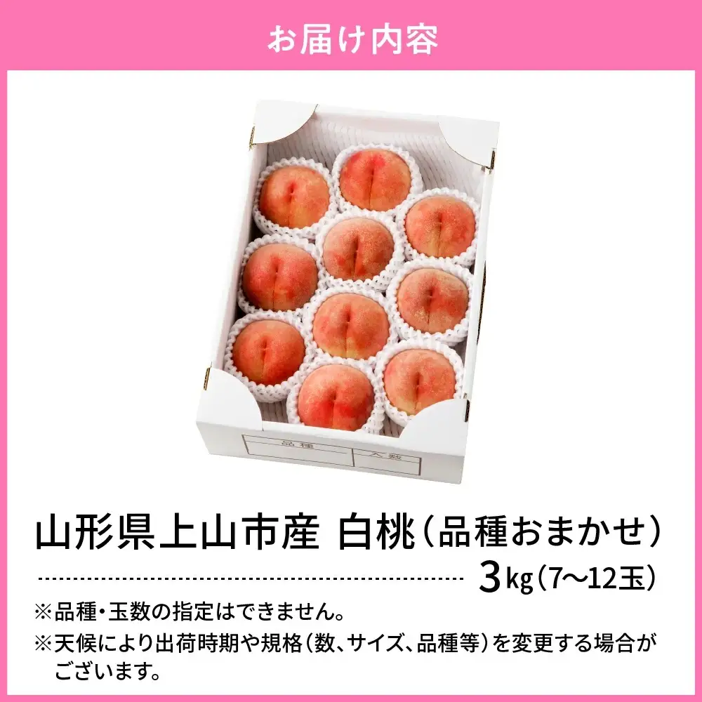 山形県上山市産　白桃（品種おまかせ）３ｋｇ　0136-2601