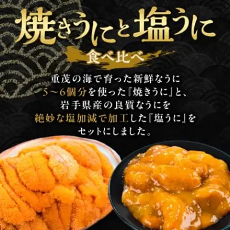 無添加焼うに2個・塩うに2本セット_うに ウニ 雲丹 焼きうに 海鮮 酒の肴 お取り寄せグルメ 食べ比べ おつまみ おにぎりの具 海鮮丼 無添加 プレゼント 贈答 おすすめ 人気 送料無料 岩手県 宮古市_【配送不可地域：離島】【1522348】