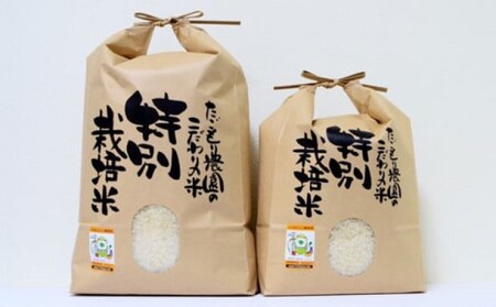 米 夢つくし 5kg 特別栽培米 栽培期間中 農薬不使用 精米 白米 お米 おこめ こめ コメ ご飯 ごはん 単一原料米 たごもり農園 福岡 福岡県 小郡市