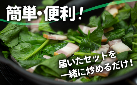 令和8年産 ほうれん草 × ベーコン セット ほうれん草