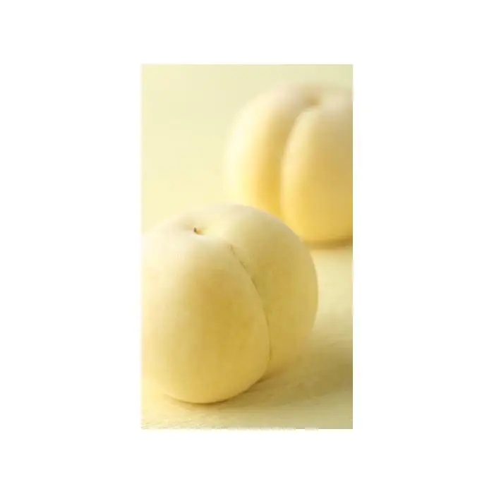 岡山県産 冬桃がたり ３個入り（約600ｇ）