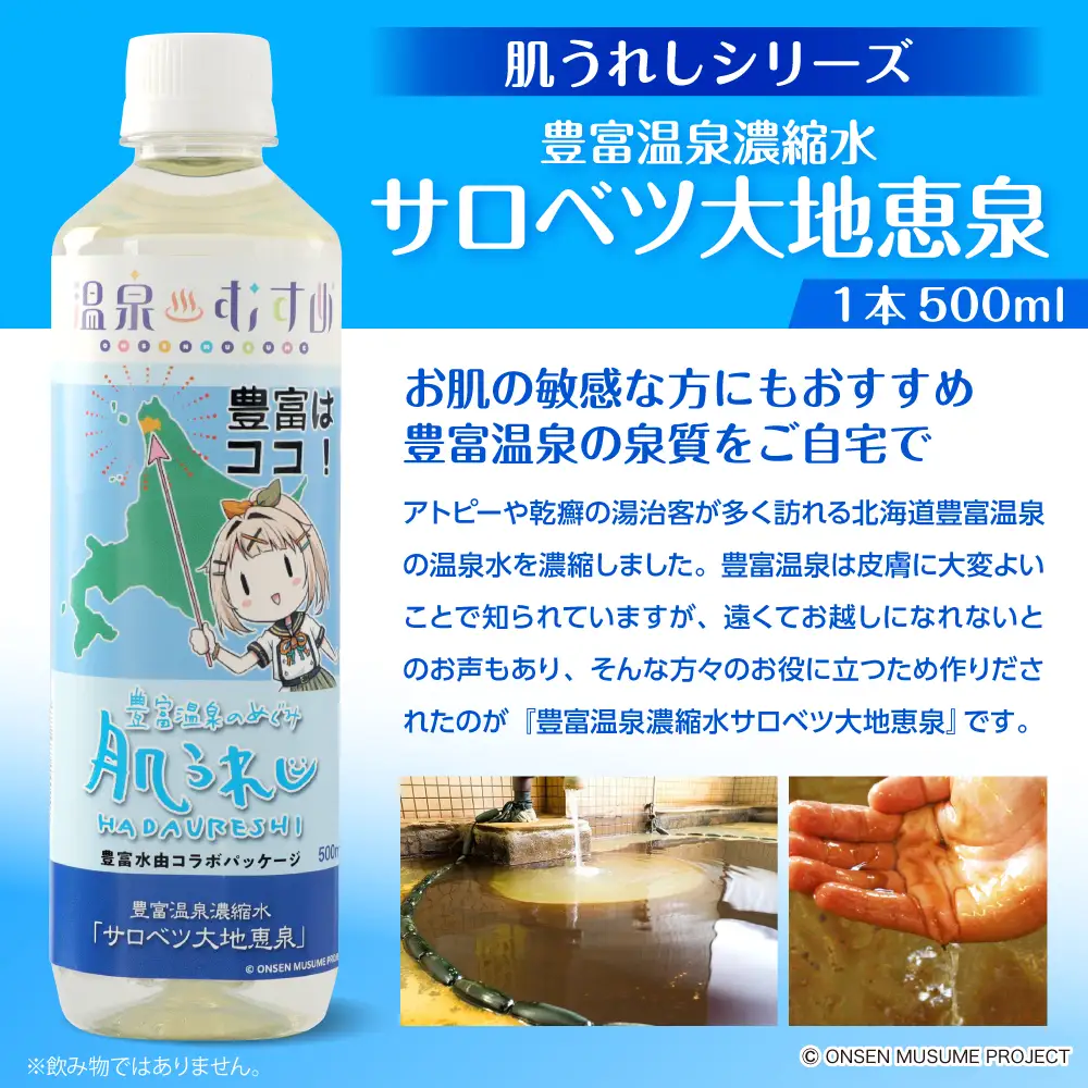 豊富温泉 濃縮温泉水 サロベツ大地恵泉 (500ml×6本)