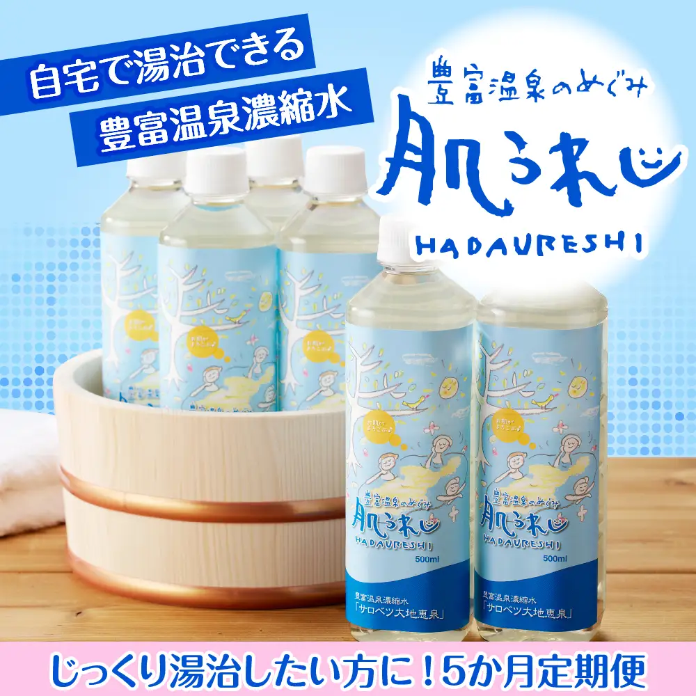 【定期便 5か月連続】 豊富温泉 濃縮温泉水 サロベツ大地恵泉 (1回500ml×6本)