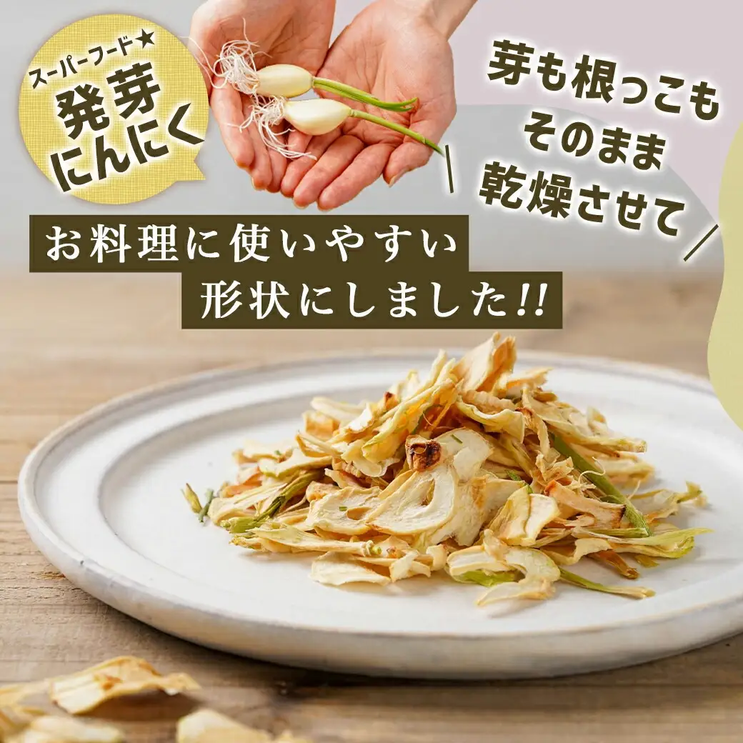 乾燥発芽にんにく【スライス】3袋セット※ポスト投函〔LB-C902〕_(都城市) 発芽 にんにく 乾燥 ニンニクスライス