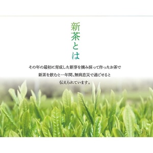 A1503.【新茶】八女星野茶（100g×3本）／2026年5月～7月中旬頃発送【八女茶】