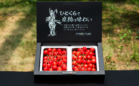 2026年産 さくらんぼ 「紅秀峰」 600g 特秀品 Lサイズ以上 山形産 【令和8年産先行予約】FS24-745