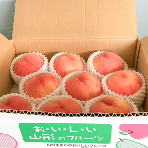 山形市産 白桃 特秀品 約2kg(4～８玉)  柔らかくなる桃【令和8年産先行予約】FS24-756 くだもの 果物 フルーツ 山形 山形県 山形市 2026年産