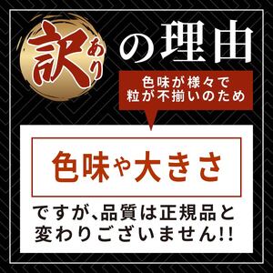 訳あり 半生うに 200g 100g×2 ＼ うに ／