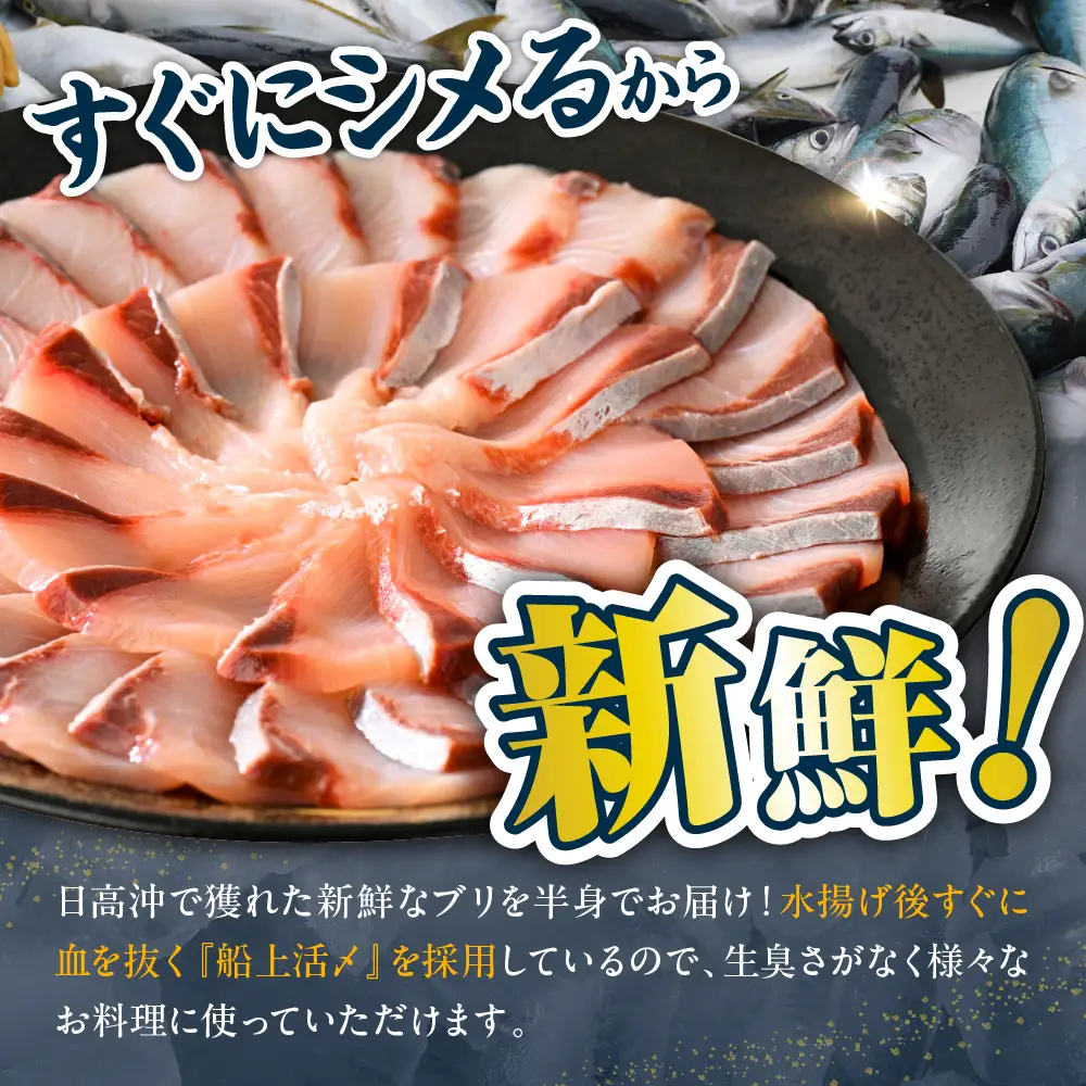 北海道 日高産 ぶり 半身1kg以上