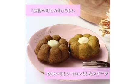 【ふるさと納税】＜おかしの家Repos(ルポ) さかわティグレ＞焼き菓子 個包装 フィナンシェ マドレーヌ リングケーキ 佐川茶 焙じ茶 ほうじ茶 ギフト プレゼント 化粧箱入 菓子職人手作り 保存料不使用【常温】チョコレート ガナッシュ 牧野富太郎 らんまん