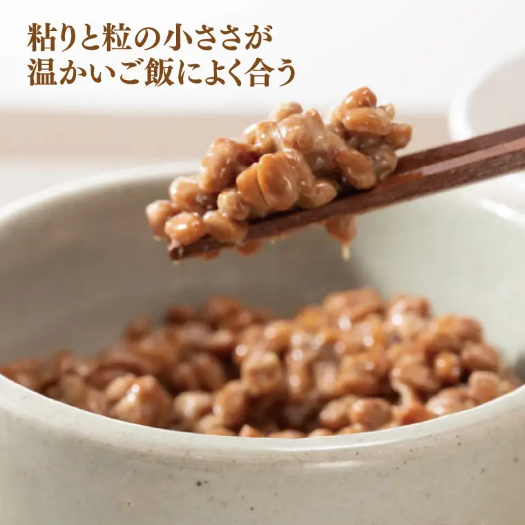 【3ヶ月定期便】【天狗納豆】極小粒パック納豆90g　12個入 ×3回（DQ-9）