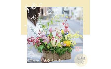 《6ヵ月定期便》季節の生花バスケットフラワーL 