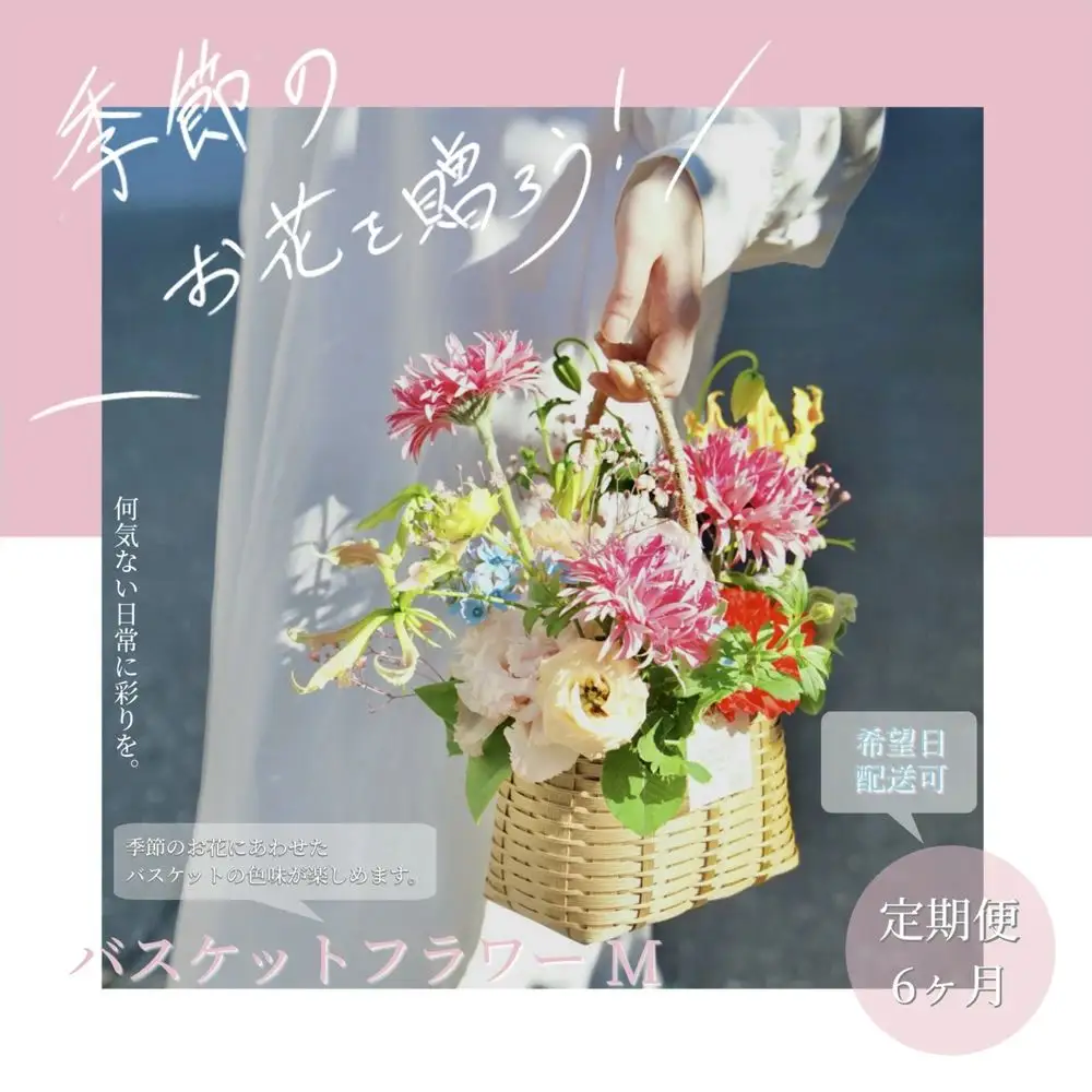《6ヵ月定期便》季節の生花バスケットフラワーM 