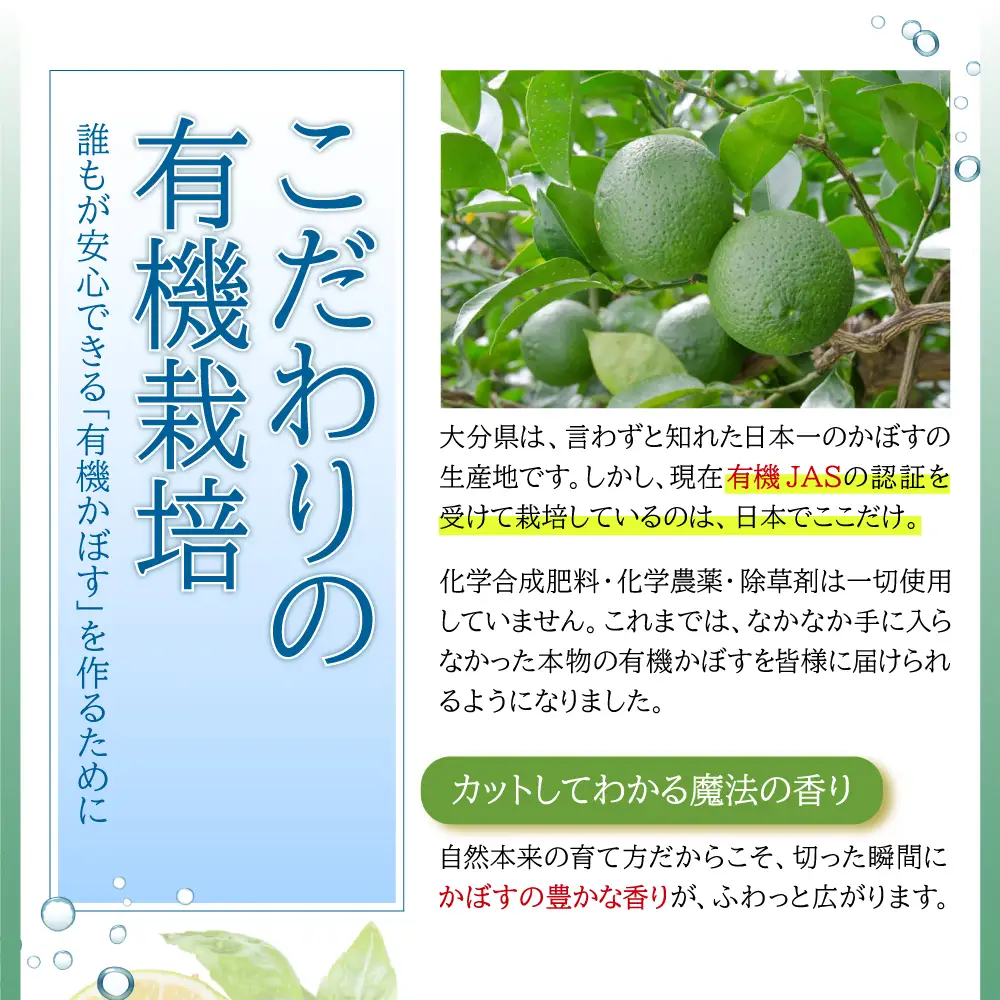 カットしてわかる魔法の香り「有機栽培かぼす」 2㎏箱入り K1