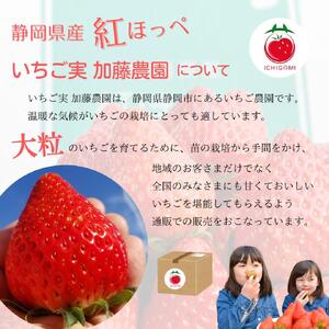 【冷凍】 静岡県産いちご 紅ほっぺ 1kg 苺 フルーツ◇