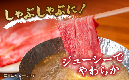 【12回定期便】長崎和牛 肩ロース 約600g[ECS060]