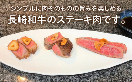 【3回定期便】 長崎和牛 サーロインステーキ 250g×2枚 [ECT010]  国産 長崎和牛 和牛 サーロインステーキ サーロイン ステーキ さーろいん 2枚 牛肉 冷凍 ソース付き ギフト お祝い 定期 定期便