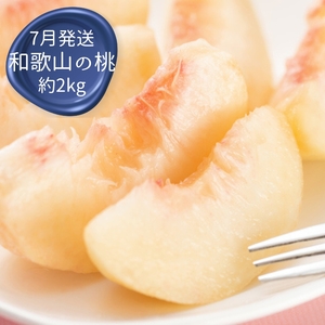 定期便全3回 【7月・8月・9月発送】 和歌山のフルーツをお届け（桃・たねなしピオーネ・シャインマスカット）【TM180】【TM92235-tkb360】