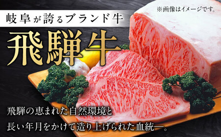 飛騨牛切り落とし500g 飛騨牛 切り落とし[ANBE013]