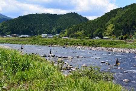 郡上鮎 小10本入500g