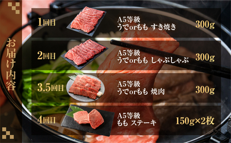 飛騨牛づくし定期便 5回 2人前 定期便 