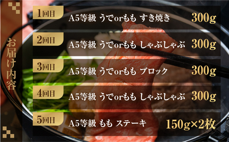 飛騨牛づくし定期便 10回 2人前 定期便 