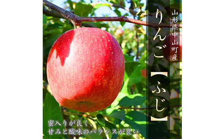 《先行予約 2026年度発送》山形県産 りんご(サンフジ) 秀品 5kg りんご リンゴ 林檎 デザート フルーツ 果物 くだもの 果実 食品 山形県 FSY-2695