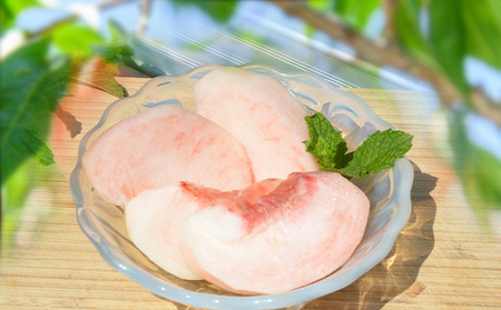 山形の硬い桃 秀品 約3kg(5～13玉) [固い桃] 【令和8年産先行予約】FS25-633 くだもの 果物 フルーツ 山形 山形県 山形市 2026年産