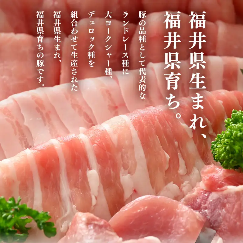 【ブランド豚】ふくいポーク バラスライス 2.4kg（300g × 8）冷凍 国産豚肉 [e02-b011]