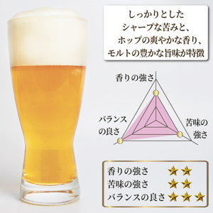【日本ビール】 クラフト ビール 明治維新 12人衆　ピルスナー クラフトビール 24本 セット クラフトビール 330ml ビール クラフトビール ギフト 贈答 お酒 クラフトビール 晩酌 沼津市 クラフトビール クラフトビール