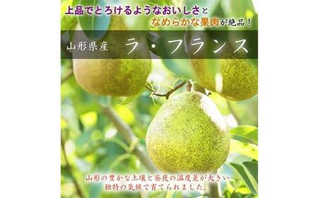 《先行予約 2026年度発送》山形県産 ラ・フランス 3kg（6～10玉） なし ナシ 梨 デザート フルーツ 果物 くだもの 果実 食品 山形県 FSY-1811