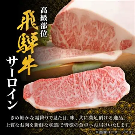 【飛騨牛】サーロインステーキ 2枚入り 計約500g (250g×2枚) 岐阜県産 黒毛和牛【配送不可地域：離島】【1420282】