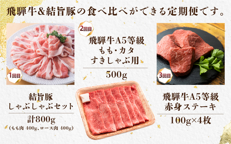 全3回 飛騨牛 結旨豚 食べ比べ 定期便 飛騨牛 [S903]