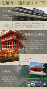 世界遺産の街 平泉町を巡る 歴史探訪ツアー ガイドコースプランニング 2時間 中尊寺 毛越寺 金鶏山 俳句 松尾芭蕉 奥州藤原氏 達谷窟毘沙門堂 体験 ツアー 岩手県 一関 平泉 奥州 北上 大船渡 気仙沼 東北【kto937-gde-2】